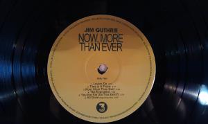 Jim Guthrie - Now More Than Ever (7)